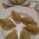 Cooksnap dari Emma Rahmawati untuk resep Pempek Udang Rebon