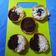 Cooksnap dari Lilis Nurkholis untuk resep Martabak Mini Anti Gagal