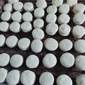 El cooksnap de Lorena Bertoni 😋 cuando hizo Alfajores de maizena increíbles.