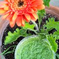 El cooksnap de Carmeta cuando hizo Smoothie verde.