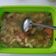 Cooksnap dari Siti Chomsiati untuk resep Sayur Sop Simple