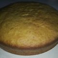 El cooksnap de Patricia Paz cuando hizo Torta de naranja en licuadora.