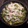 El cooksnap de Yolan08 cuando hizo Noodles de arroz salteados con judías verdes y jamón.