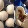 Cooksnap dari Meyriska Inez untuk resep Bakpao daging kecap