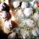 Cooksnap dari ade yulida untuk resep Bakso Keto Kenyal Alami