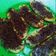 Cooksnap dari Corry Handayani untuk resep 175. Pisang Kepok Bakar