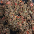 El cooksnap de Caro Mayo R cuando hizo Machaca a la mexicana.