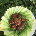 Cooksnap của Phuong Nguyen 92 khi họ làm theo món Cải thìa, nấm đông cô sốt dầu hào