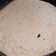 El cooksnap de Elisabet Gomez cuando hizo Tortilla santiagueña a la plancha !.
