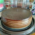 Cooksnap dari Renawati untuk resep Lapis sagu a.k.a kue pepe