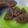 Cooksnap dari Dwi_emha untuk resep Brownies kukus no mixer