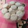 Cooksnap dari Rima Sari untuk resep Kue putri salju 1kg