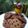 Cooksnap dari Theresia Sujanti untuk resep Chocochips Cookies Super kress🤗