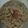 Vandna bosamiya's cooksnap of when they made બાજરી નો રોટલો(bajri no rotlo recipe in Gujarati).