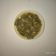 Rekha Vora's cooksnap of when they made પાપડી રીંગણાં નું શાક (Papadi Ringan Shak Recipe In Gujarati).