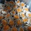 Cooksnap dari Syifa H Fachri untuk resep Dimsum Sehat