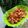Cooksnap dari tri utami untuk resep Tetelan sapi Bumbu Opor Mercon