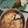 El cooksnap de Susana G. Q. De Martinez cuando hizo Tarta de acelga.