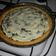 El cooksnap de Geraytere Monti cuando hizo Masa para tarta salada rápida de leche y queso (sin manteca).
