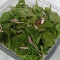 صورة من اولادي كل حياتي أم معتز، شاركها بعد تجربة وصفة سلطة الجرجير 😋
