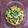 Cooksnap dari Jeanny Noviana untuk resep Cah Kangkung Jagung