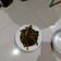 รูป Cooksnap ของ apple เมื่อเขาทำ ผัดผักบุ้งปลาเค็ม