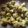 Rekha Vora's cooksnap of when they made ગ્રીન ગોટા (Green Gota Recipe In Gujarati).