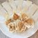 Cooksnap dari Visty Khresnaputri untuk resep Siomay Ayam