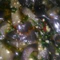 El cooksnap de Dani Sereno cuando hizo Berenjenas en escabeche (receta de la nona).