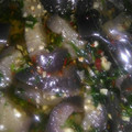 El cooksnap de Dani Sereno cuando hizo Berenjenas en escabeche (receta de la nona).
