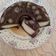Cooksnap dari Ejak Ale untuk resep Puding Coklat Polkadot