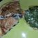 El cooksnap de shalymar cuando hizo Tortilla espinaca y cebolla.