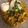 Sophie V.'s cooksnap of when they made Kichererbsen-Curry.