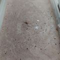 Cooksnap dari Mila untuk resep ICE CREAM COKELAT homemade