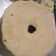 Cooksnap dari Aditi Pratiwi untuk resep Sponge Cake (Basic)