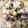 El cooksnap de Mnk Os Rv cuando hizo Ceviche peruano de corvina.