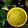 Leena Mehta's cooksnap of when they made Simple Dal.
