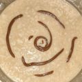 El cooksnap de Judith S Vazquez Acosta cuando hizo Arroz con leche cremoso.