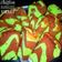 Cooksnap dari Yusia untuk resep Pandan Choco Chiffon Cake