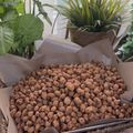 Cooksnap 0h Hana !! semasa beliau membuat *🥜 kacang botak/telur🥜*.