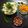 Parul Patel's cooksnap of when they made સાબુદાણા ખીચડી (Sabudana Khichdi Recipe In Gujarati).
