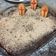 El cooksnap de Marieta cuando hizo Cementerio de brownie.