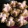 Cooksnap dari Fathiyya untuk resep Bolu kukus anti kutukan (setelah 9x mingkem)