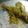Bakul Samantha Sarkar's cooksnap of when they made পার্সে মাছের ঝাল(Parse Macher jhal recipe in Bengali).
