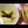 Cooksnap dari elyanied untuk resep Setup Pisang