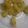 Ekta Rangam Modi's cooksnap of when they made પીળા ઢોકળા(yellow dhokla recipe in Gujarati).