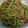 Cooksnap dari Sandra_rif untuk resep Tumis Buncis Tomat