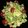 El cooksnap de Natalia cuando hizo Ensalada Cesar fácil y rica.
