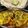 Manisha Malvi Angaitkar's cooksnap of when they made Raw Jackfruit Curry (Enchor Dalna).