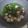 李家珍 的 冬至鮮肉湯圓 cooksnap